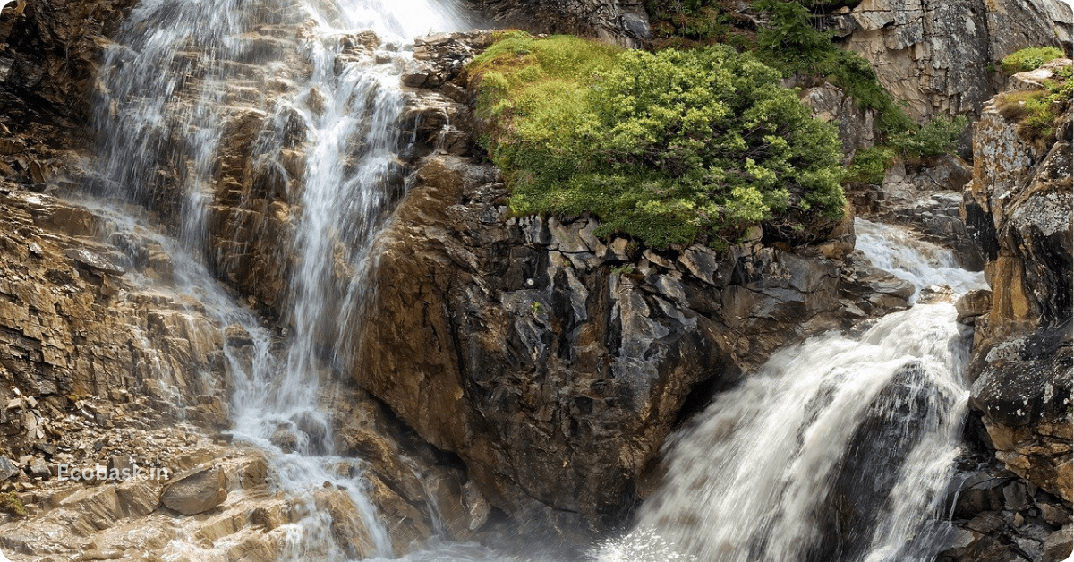 Best Places to Visit in Munnar In 2 Days