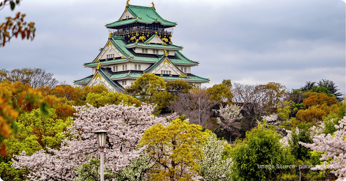 Places To Visit In Japan in November