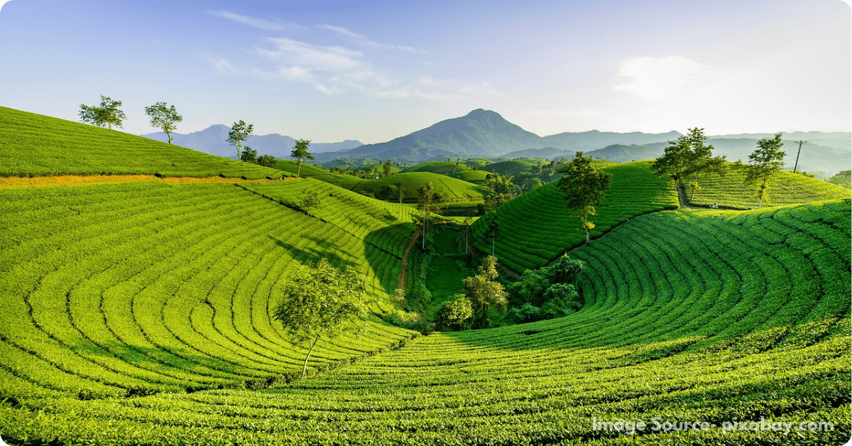 Top 10 Places to visit in Darjeeling- Ecobask.in