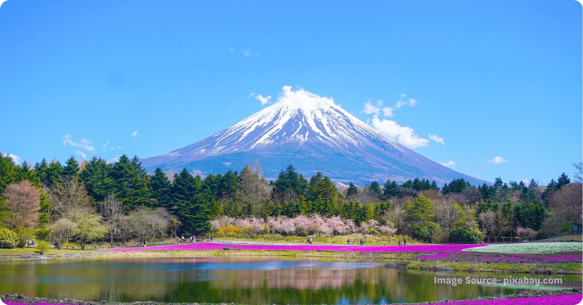 Places To Visit In Japan in November