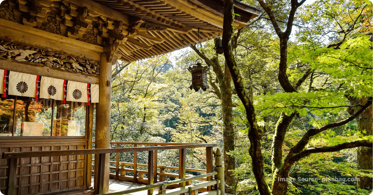 Places To Visit In Japan in November