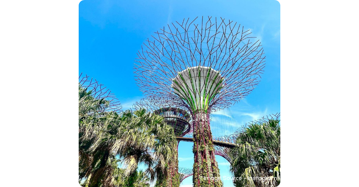 Best Places To Visit in Singapore With Family